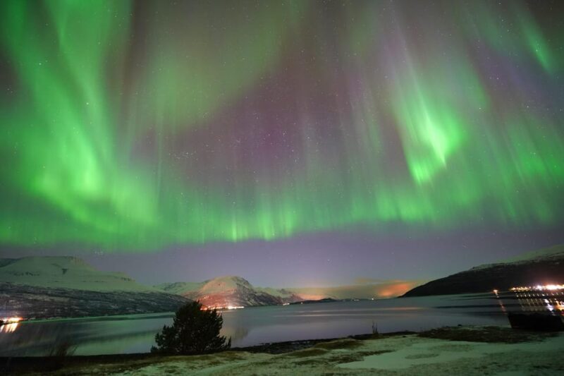 Tromso: Northern Lights Minibus Tour with Campfire - An In-Depth Look at the Tour Experience