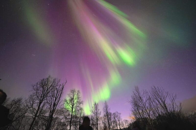 Tromso: Northern Lights Minibus Tour with Campfire - Practical Details & What to Bring