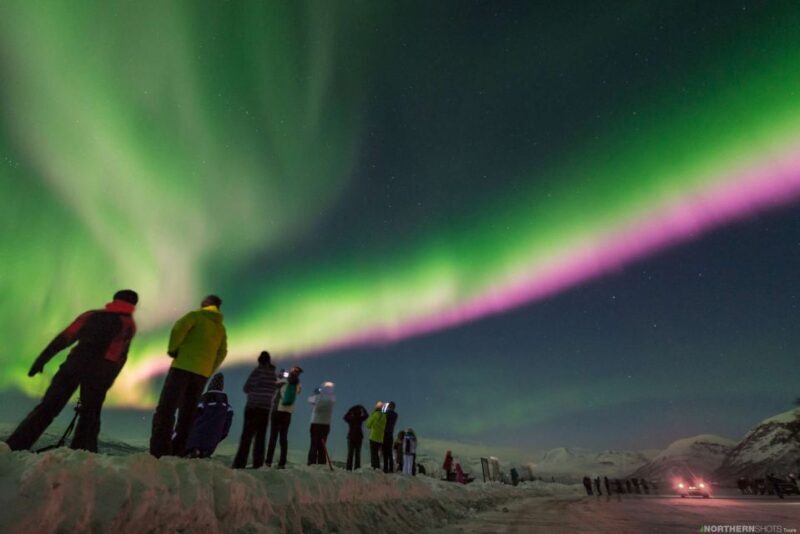 Tromso: Northern Lights Photography Tour by Bus (or miniBus) - Key Points