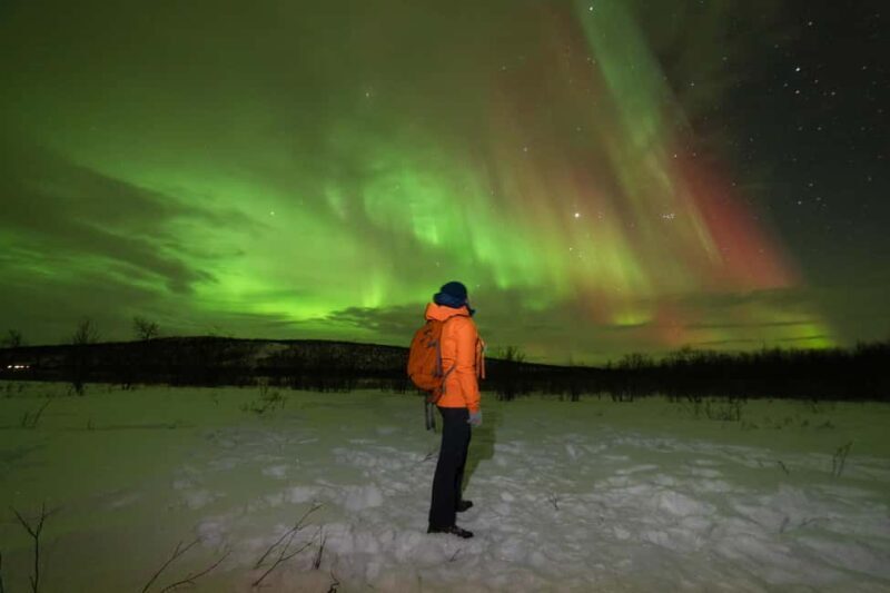 Tromsø: Northern Lights tour, local experts, free photos - Who Will Love This Tour?