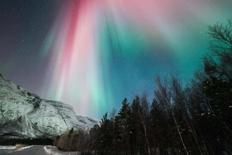 Tromsø: Northern Lights tour, local experts, free photos - The Sum Up