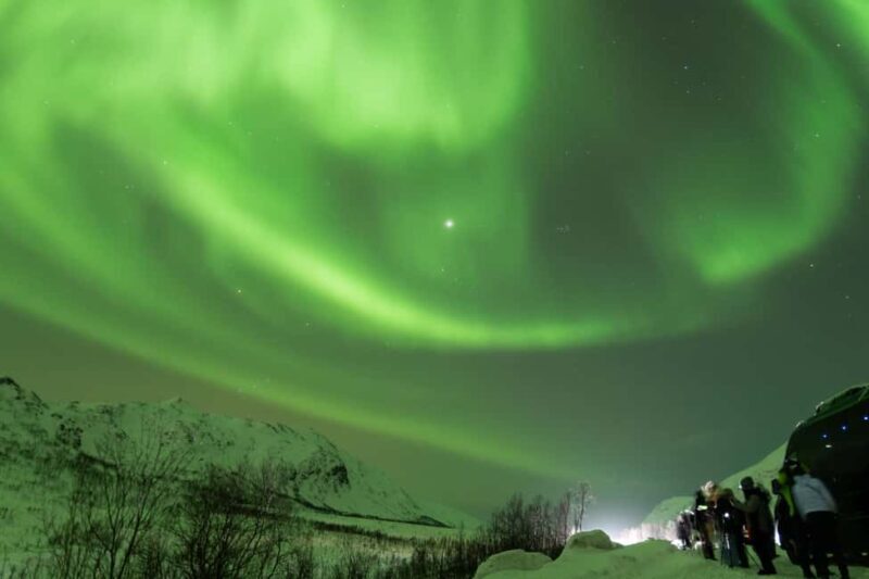 Tromsø: Northern Lights tour, local experts, free photos - FAQ