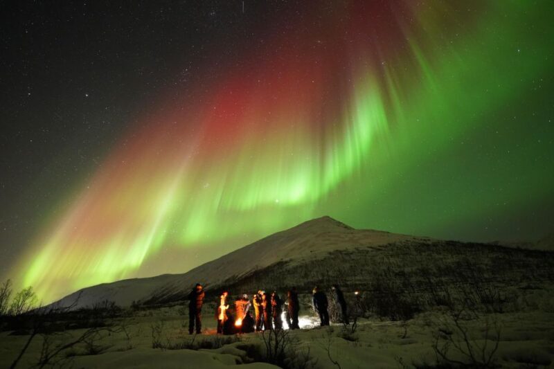 Tromsø: Northern Lights Tour with Free Professional Portrait - An In-Depth Look at the Tromsø Northern Lights Experience