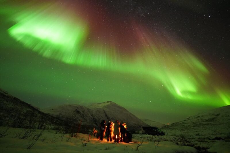 Tromsø: Northern Lights Tour with Free Professional Portrait - Who Should Consider This Tour?