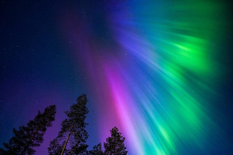 Tromsø: Northern Lights Tour with Guaranteed Sightings - Final Thoughts