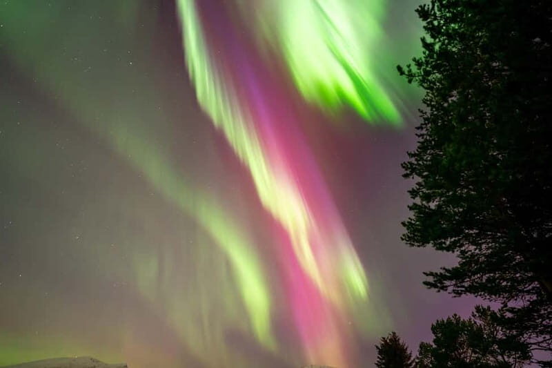 Tromsø: Northern Lights Tour with Hot Drinks and Snacks - An Unforgettable Arctic Night