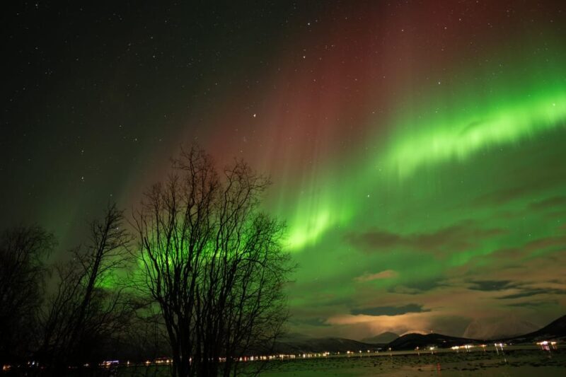 Tromsø: Northern Lights Tour with Local Guide and Photos - Why This Tour Offers Great Value