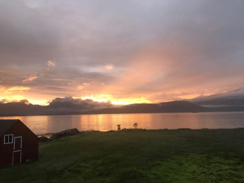 Tromsø: Norwegian farmvisit with guide - Tromsø: Norwegian Farmvisit with Guide – A Genuine Taste of Norway’s Rural Charm