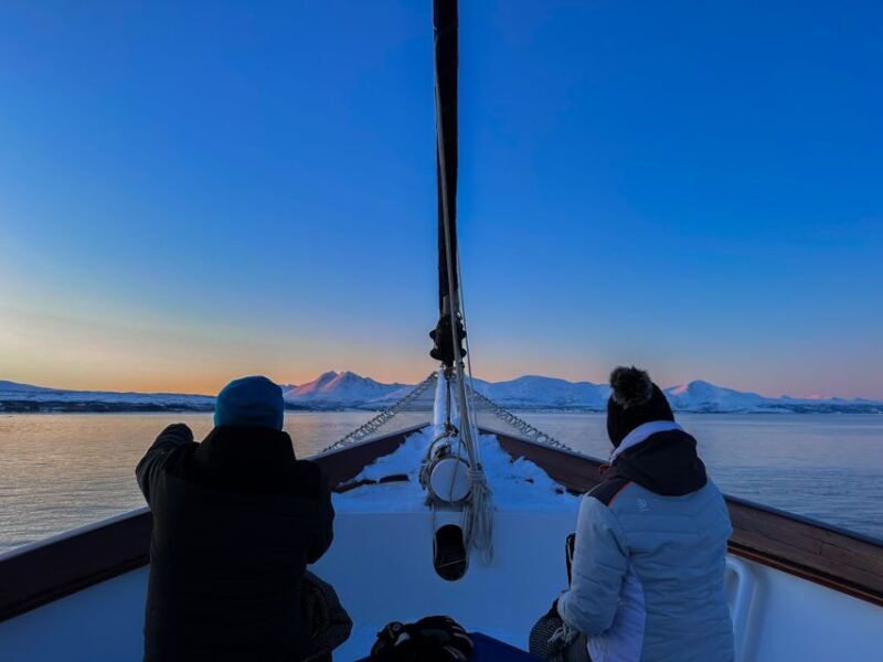 Tromsø: Polar Fjord Cruise on a Luxury Yacht with Lunch - Exploring Tromsø’s Polar Fjord Cruise: A Deep Dive