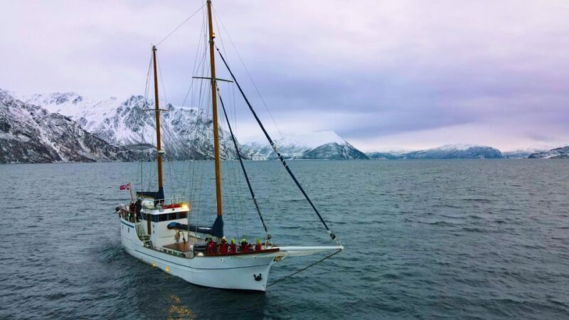 Tromsø: Polar Fjord Cruise on a Luxury Yacht with Lunch - Final Thoughts: Is This Tour Right for You?