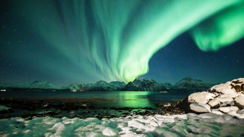 Tromsø: Premium Northern Lights Chase with Free Photos - Authenticity and What Travelers Love