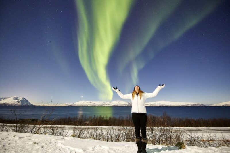 Tromsø: Private 6-Hour Aurora Chase by Minivan - Why This Tour Works Well