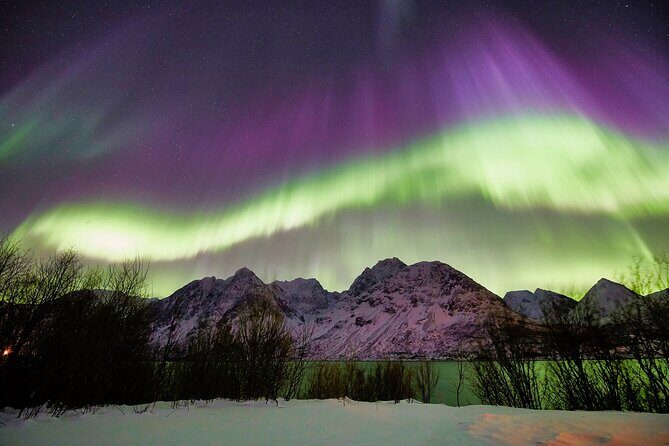 Tromso: Private Aurora Chase by Minivan - An Honest Look at the Aurora Chase Experience
