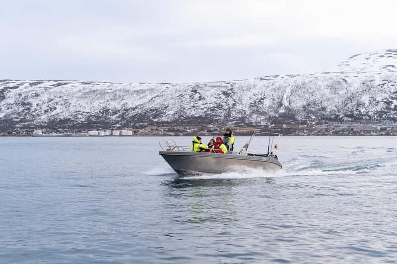 Tromsø: Private Fjord Boat Tour Around the City - Key Points