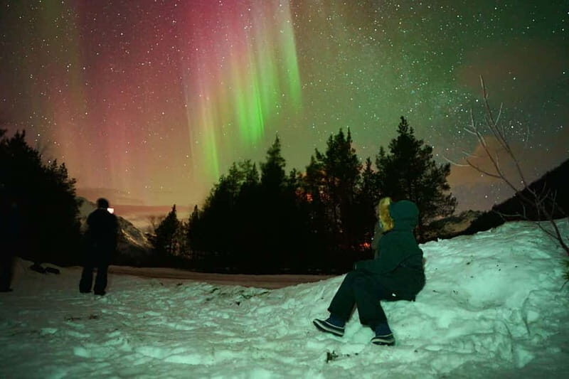 Tromsø: Private Northern Lights Tour with Pro Photographer - Analyzing the Cost and Value