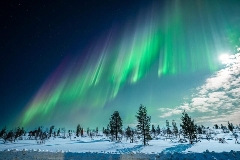 Tromsø: Private Tour with Guaranteed Northern Lights Viewing - What You Can Expect on the Itinerary