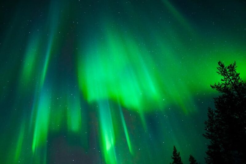 Tromsø: Private Tour with Guaranteed Northern Lights Viewing - What Makes This Tour Special