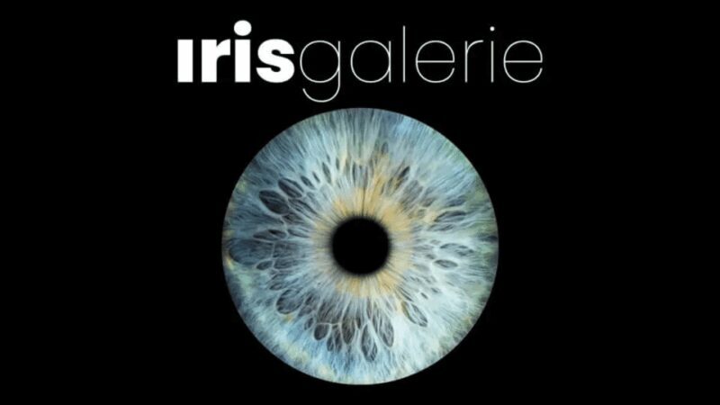 Tromsø: Reveal Your Eye Experience at the Iris Galerie - The Experience in Detail