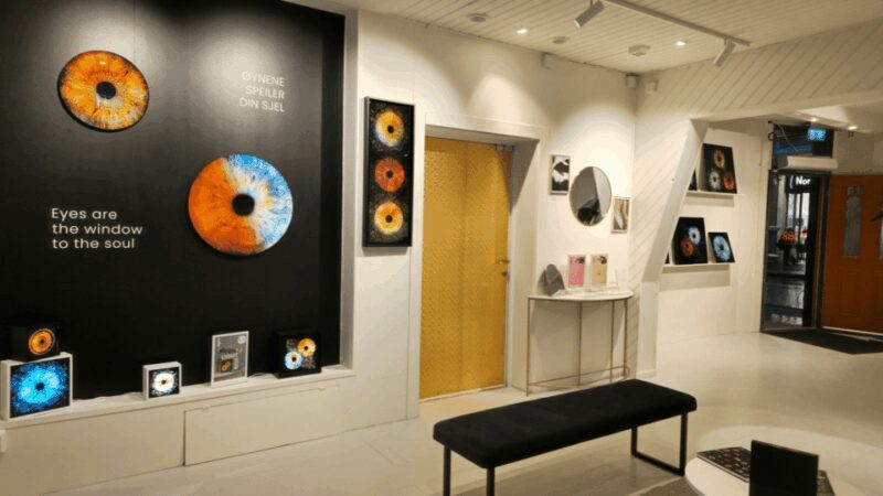 Tromsø: Reveal Your Eye Experience at the Iris Galerie - Price and Value Analysis