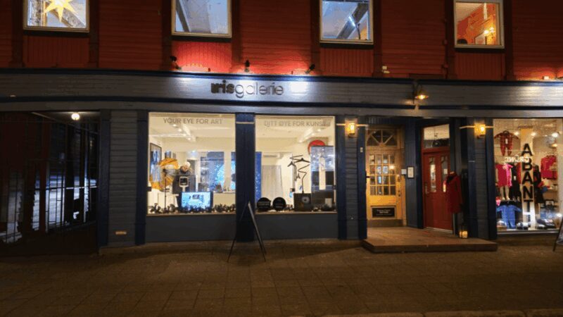 Tromsø: Reveal Your Eye Experience at the Iris Galerie - Authentic Feedback from Visitors