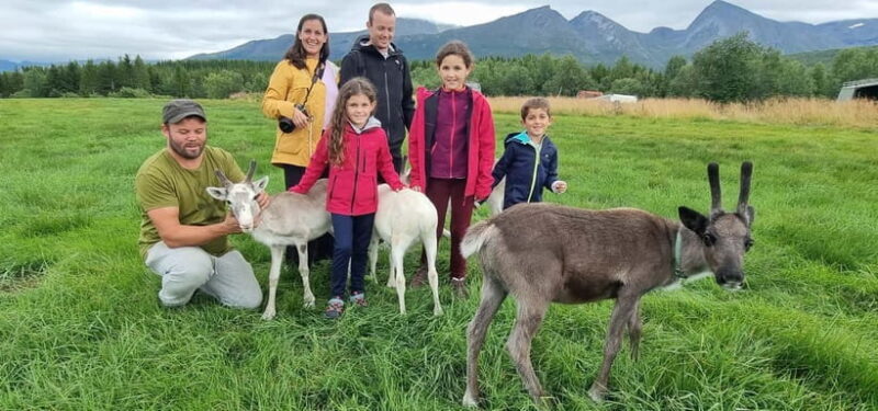 Tromsø: Sami Camp and Reindeer Experience with Lunch - Who Will Love This Tour?