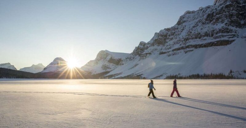 Tromso: Scenic & Eco-Friendly Snowshoeing Tour - Final Thoughts