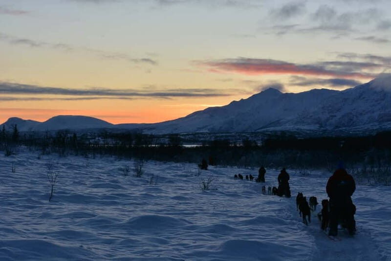 Tromsø: Self-Drive Husky Dog Sledding Adventure - Authentic Experiences and Personal Touches