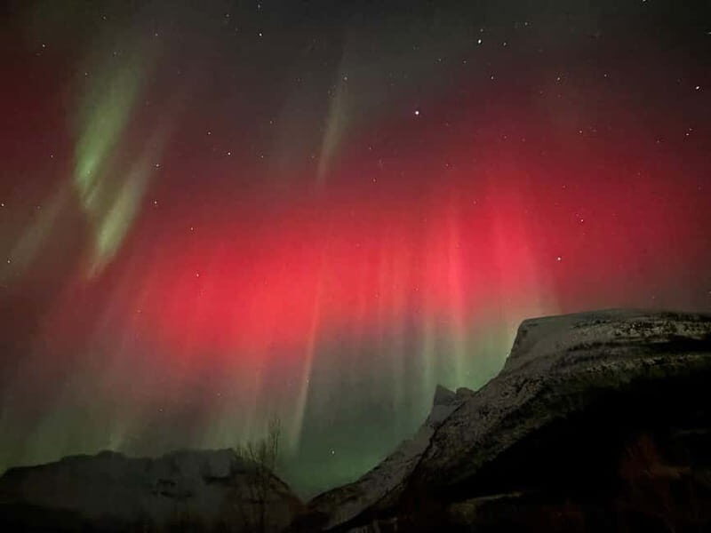 Tromsø/Skibotn: Daytime Sami Culture, Joik & reindeers - Key Points