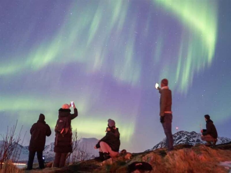 Tromso: Small Group Aurora Chase with Warranty - Who Should Consider This Tour?