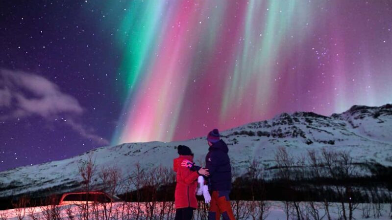 Tromsø: Small-Group Aurora Tour with Free Photos (7 Hours) - Key Points