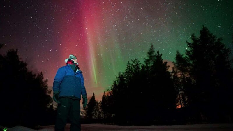 Tromsø: Small-Group Aurora Tour with Free Photos (7 Hours) - Why This Tour Offers Good Value