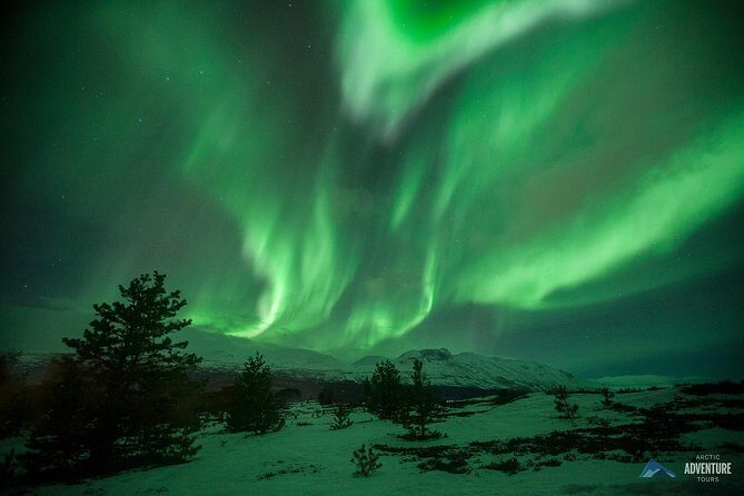 Tromsø: Small Group Northern Lights Hunt - An In-Depth Look at the Tromsø Small Group Northern Lights Hunt