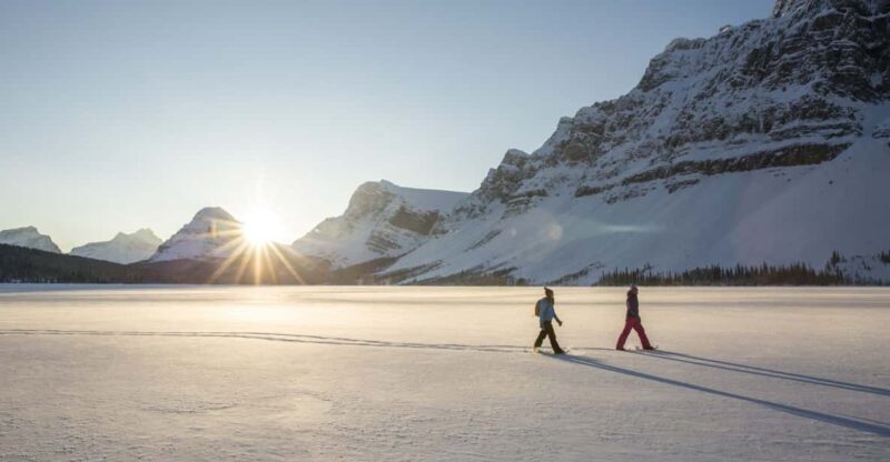 Tromsø: Snowshoeing in Scenic Landscape - An In-Depth Look at Tromsø Snowshoeing Experience