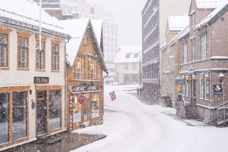 Tromsø: Spanish tour of the historic center and the Polar Museum - Tromsø: Spanish Tour of the Historic Center and the Polar Museum