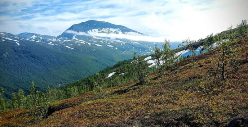 Tromsø Street to Summit: Fløya Mountain Guided Hike - Why We Loved the Fløya Mountain Hike