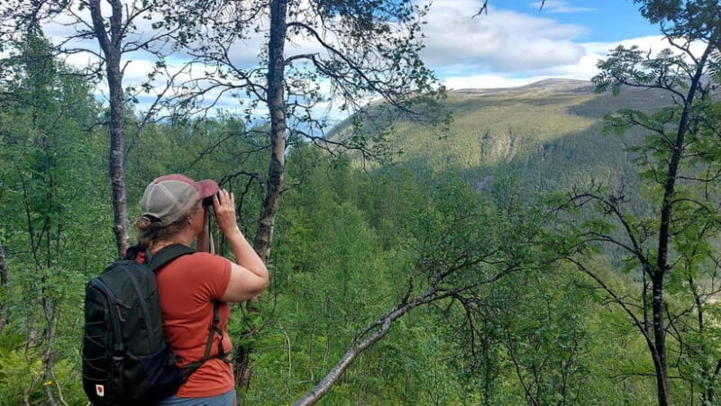 Tromsø Street to Summit: Fløya Mountain Guided Hike - Practical Tips to Make the Most of Your Hike