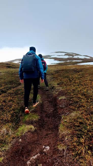 Tromsø Street to Summit: Fløya Mountain Guided Hike - The Sum Up