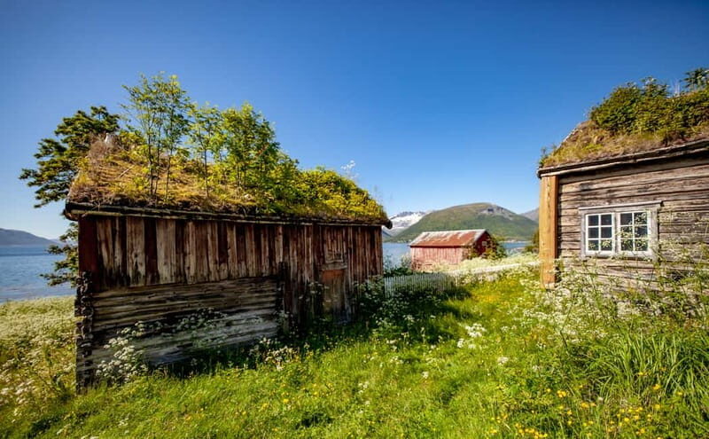 Tromsø: Summer Fjord Road Trip with Citizen Science - Who Would Enjoy This Tour?