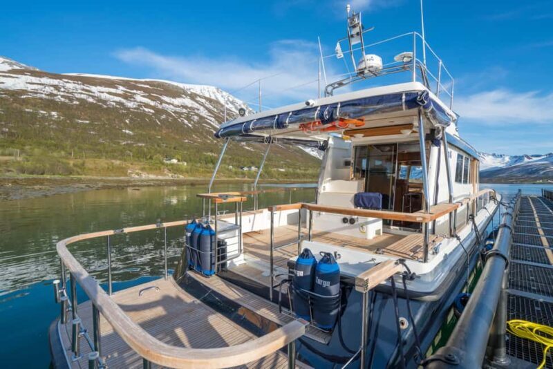 Tromsø: Whale Watching VIP Boat Tour with Lunch - Who would enjoy this experience?