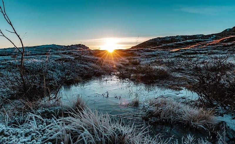 Tromsø: Winter Fjord Road Trip - Tromsø: Winter Fjord Road Trip