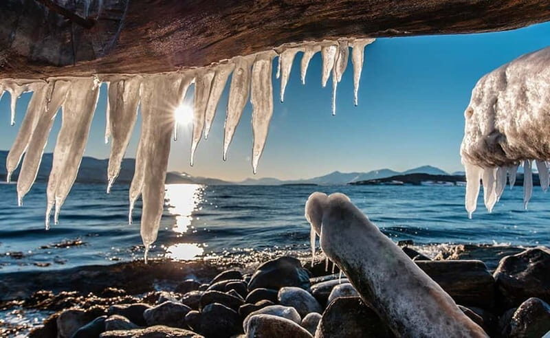 Tromsø: Winter Fjord Road Trip - Real Experiences from Travelers