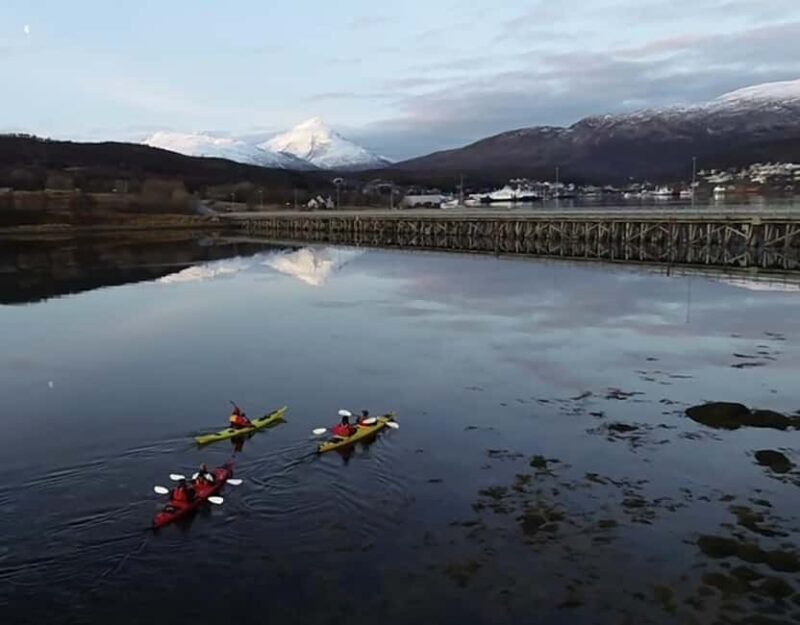 Tromsø: Winter Sea Kayaking Tour with Wildlife Sightings - Practical Details and Tips