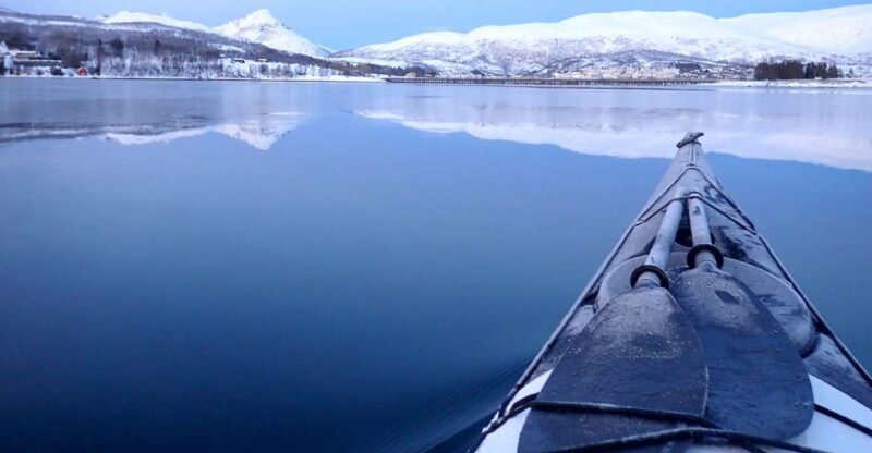 Tromsø: Winter Sea Kayaking Tour with Wildlife Sightings - What the Reviews Say