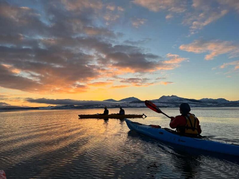 Tromsø: Winter Sea Kayaking Tour with Wildlife Sightings - Who Should Consider This Tour?