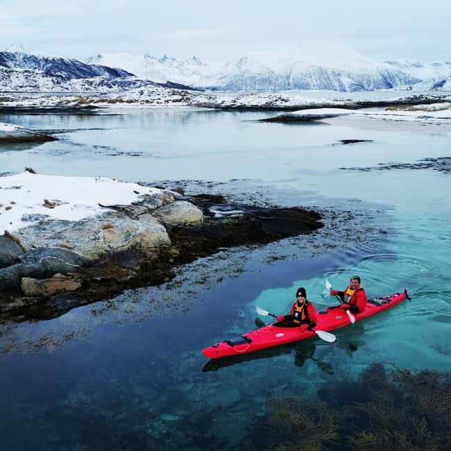 Tromsø: Winter Sea Kayaking Tour with Wildlife Sightings - The Sum Up