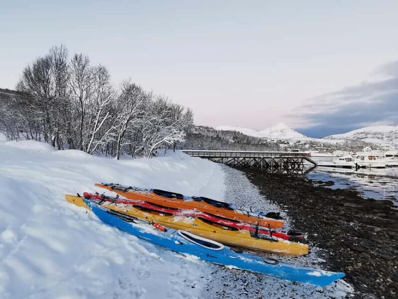 Tromsø: Winter Sea Kayaking Tour with Wildlife Sightings - FAQ