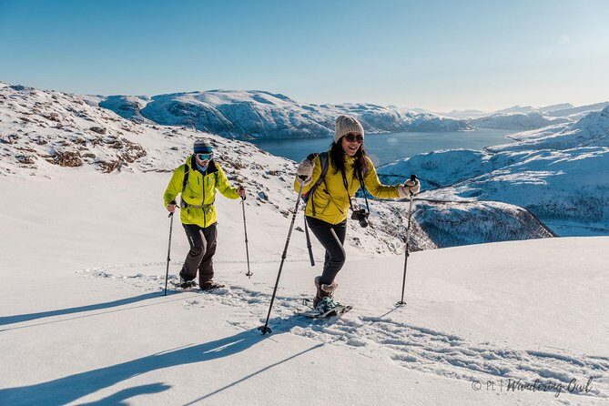Tromsø: Winter Snowshoeing with Wandering Owl - The Lunch with a View