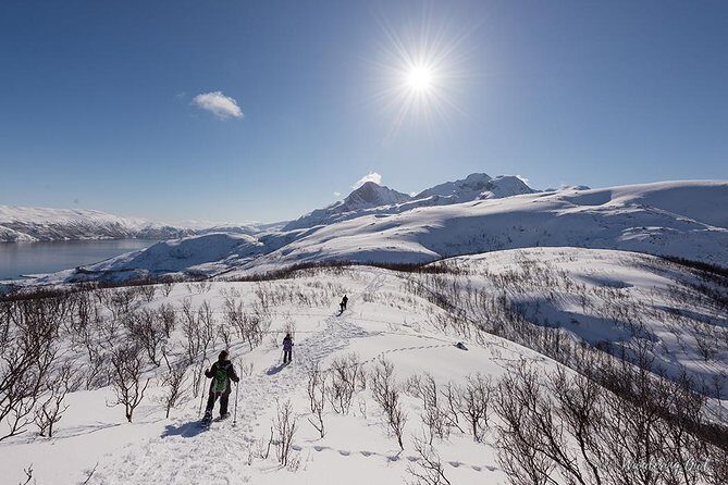 Tromsø: Winter Snowshoeing with Wandering Owl - The Practical Details: What to Know Before You Book