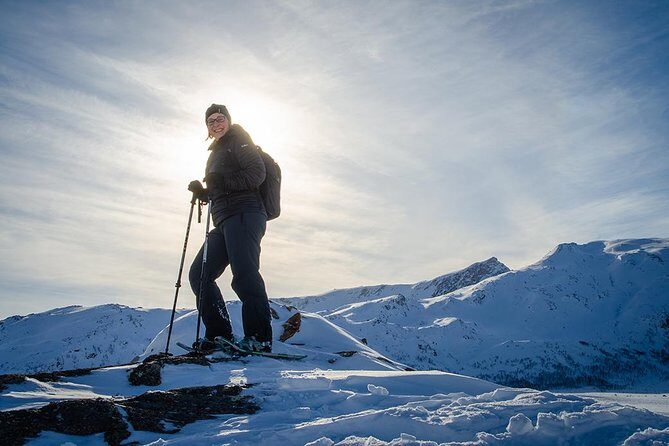 Tromsø: Winter Snowshoeing with Wandering Owl - Who Will Love This Tour?