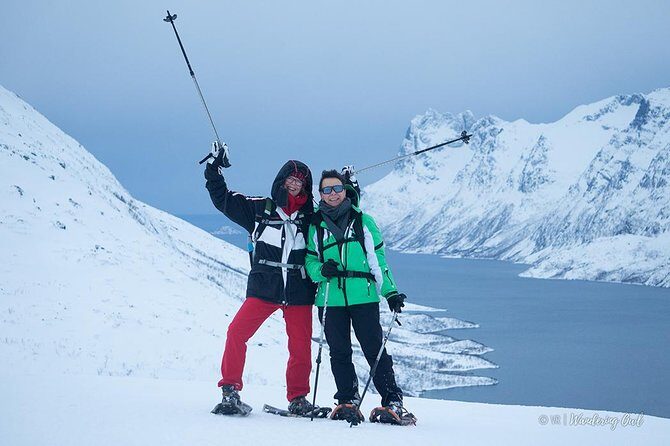 Tromsø: Winter Snowshoeing with Wandering Owl - The Sum Up